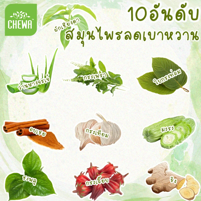 10 อันดับ สมุนไพรลดเบาหวาน