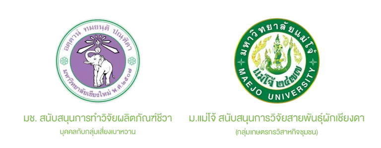 งานวิจัยผักเชียงดา ร่วมกับ มหาลัยเชียงใหม่ และมหาลัยแม่โจ้
