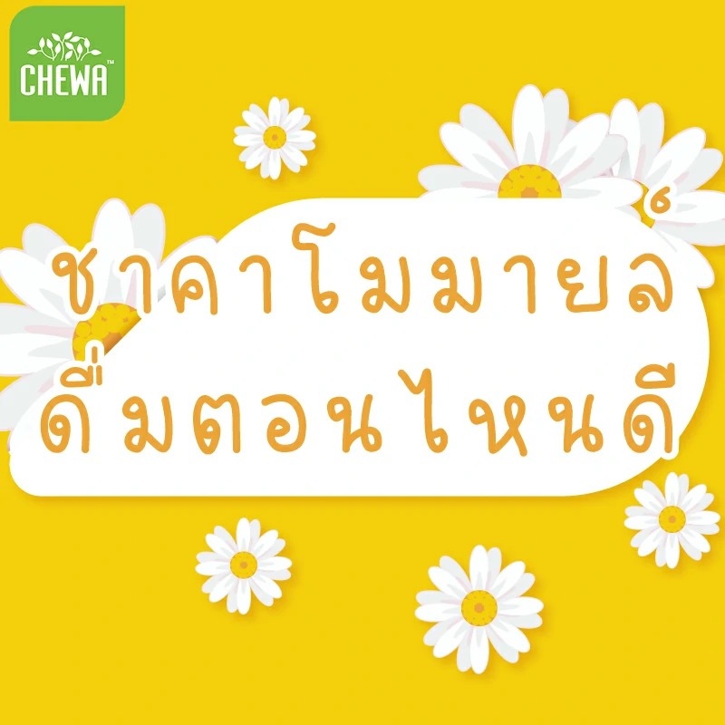 คาโมมายล์ คืออะไร (chamomile) ตัวช่วยหลับง่าย คลายกังวล