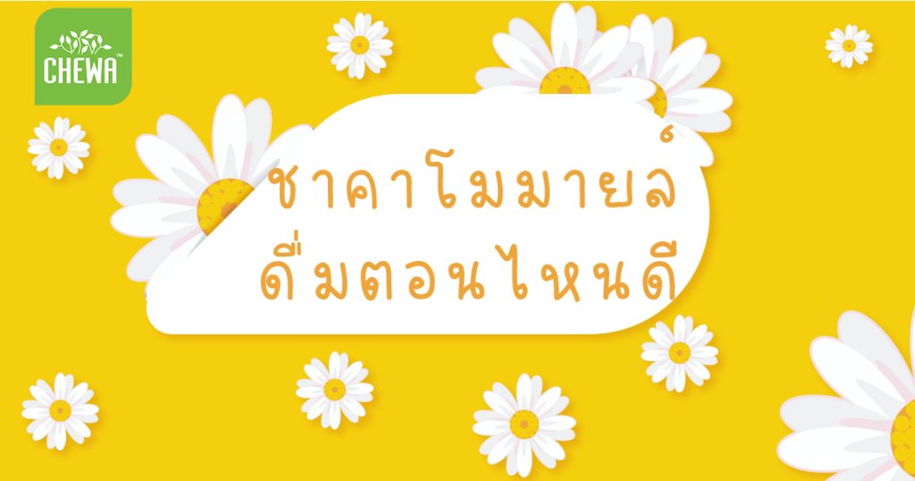 ชาคาโมมายล์ ดื่มตอนไหนดี ดื่มถูกวิธี หลับง่ายๆ