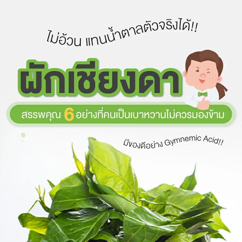 ผักเชียงดา สรรพคุณ 6 อย่าง