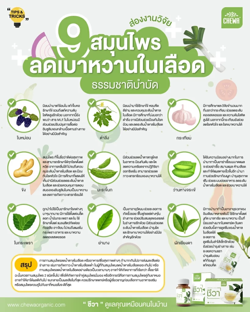 สรุป ส่องงานวิจัย 9 สมุนไพรลดน้ำตาลในเลือด ธรรมชาติบำบัด