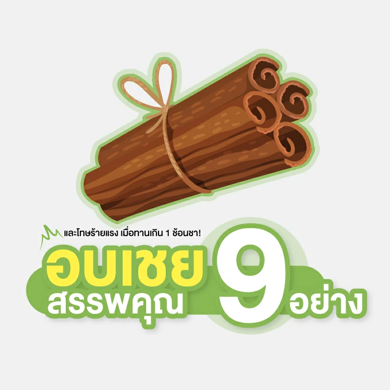 อบเชย สรรพคุณ 9 อย่าง และโทษร้ายแรง