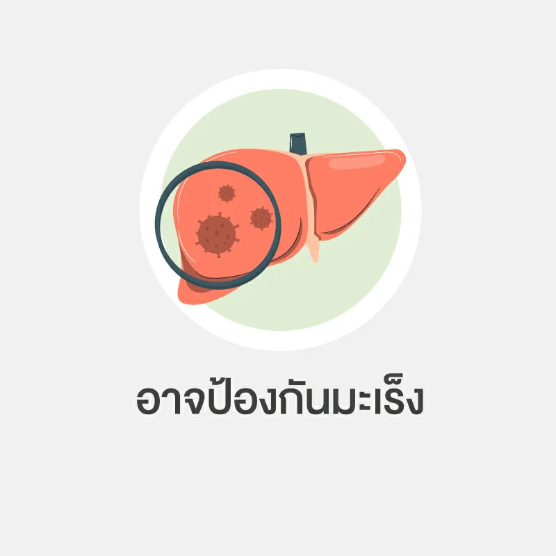 อบเชย สรรพคุณ อย่างที่ 1.อาจป้องกันมะเร็ง