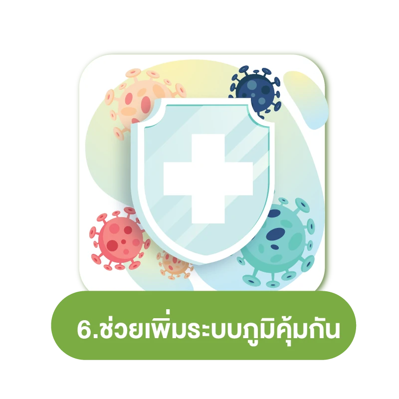 คาโมมายล์ สรรพคุณ 10 อย่าง 6.ช่วยเพิ่มระบบภูมิคุ้มกัน