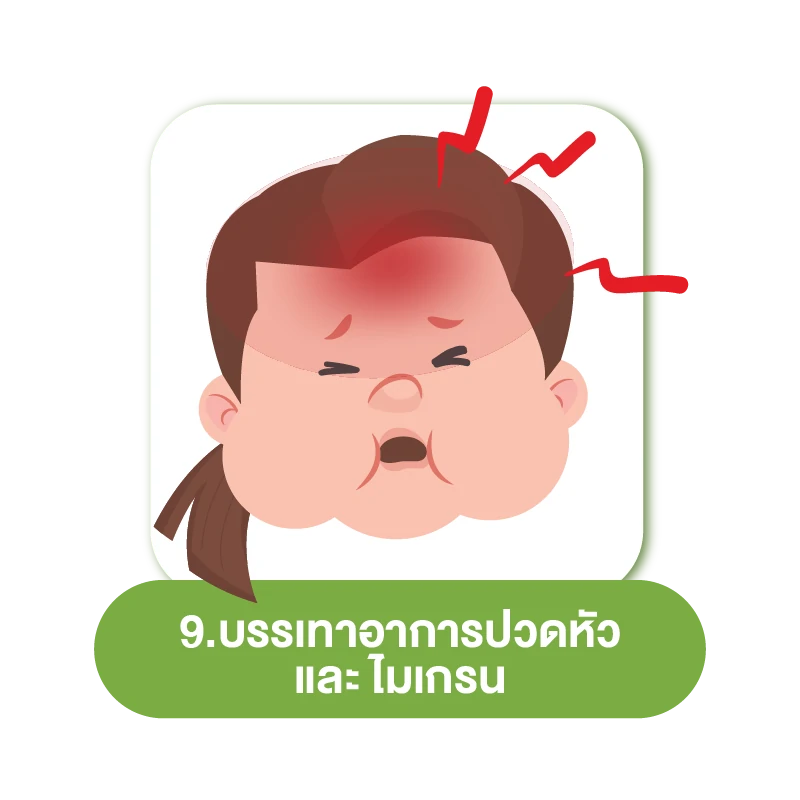 คาโมมายล์ สรรพคุณ 10 อย่าง 9.บรรเทาอาการปวดหัวและไมเกรน