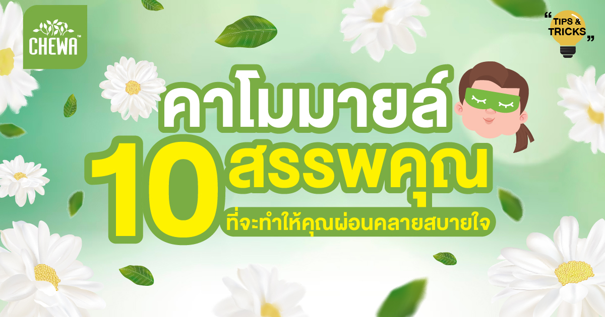 คาโมมายล์ สรรพคุณ 10 อย่าง ที่จะทำให้คุณผ่อนคลายสบายใจ