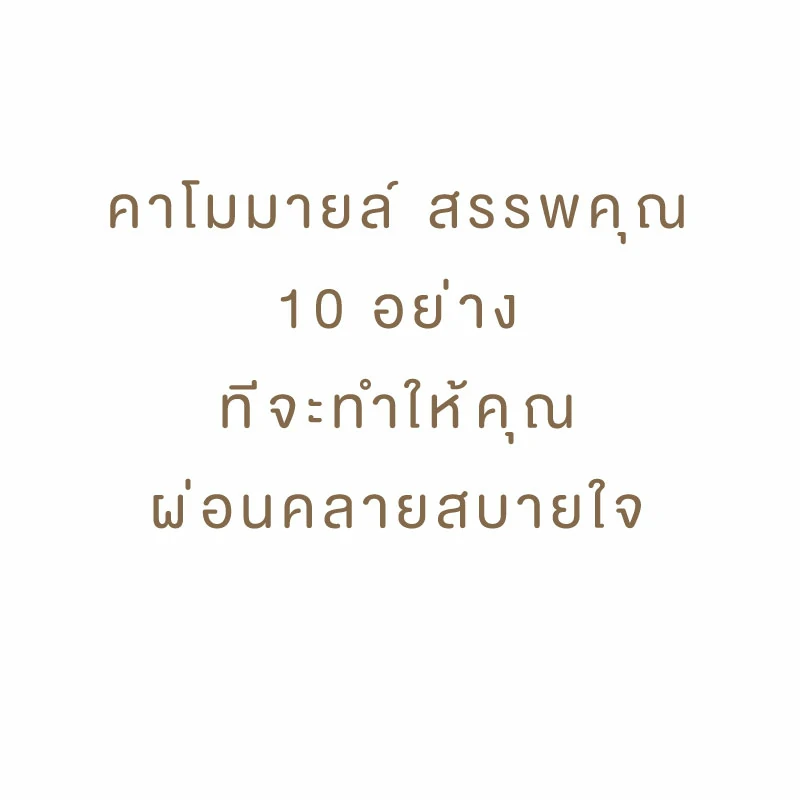 คาโมมายล์-สรรพคุณ-10-อย่าง