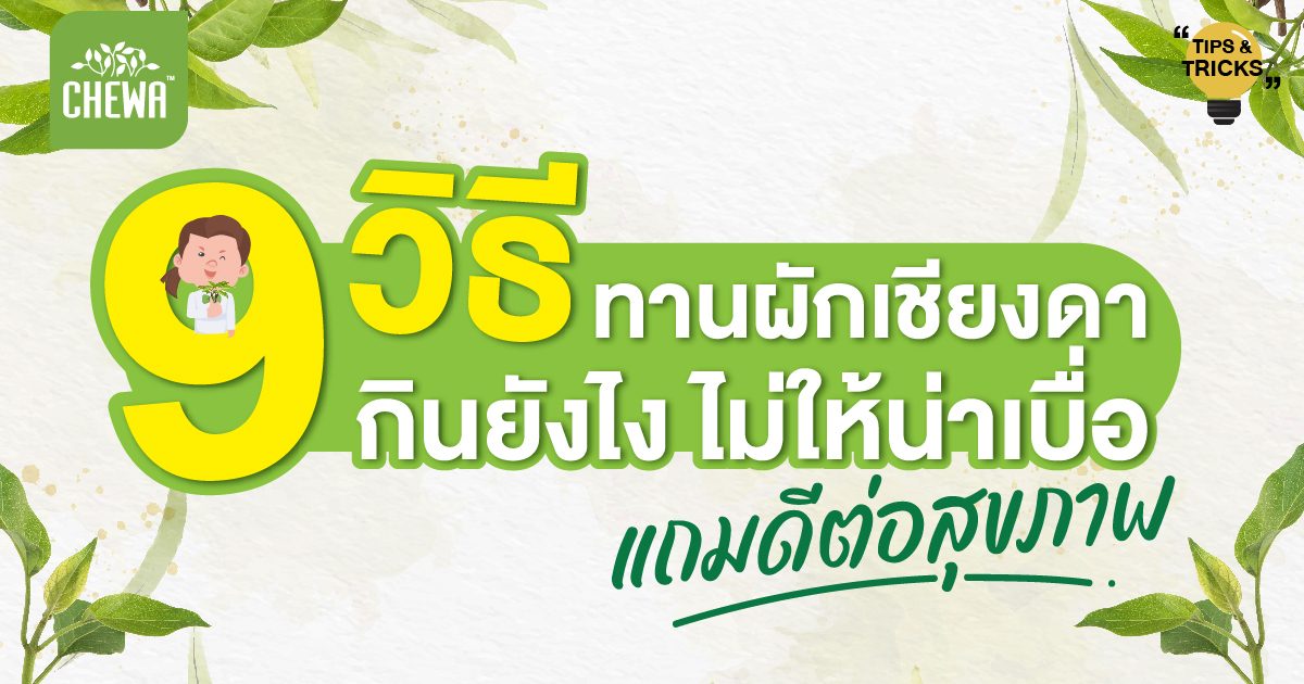 9 วิธีทานผักเชียงดา กินยังไง ไม่ให้น่าเบื่อ