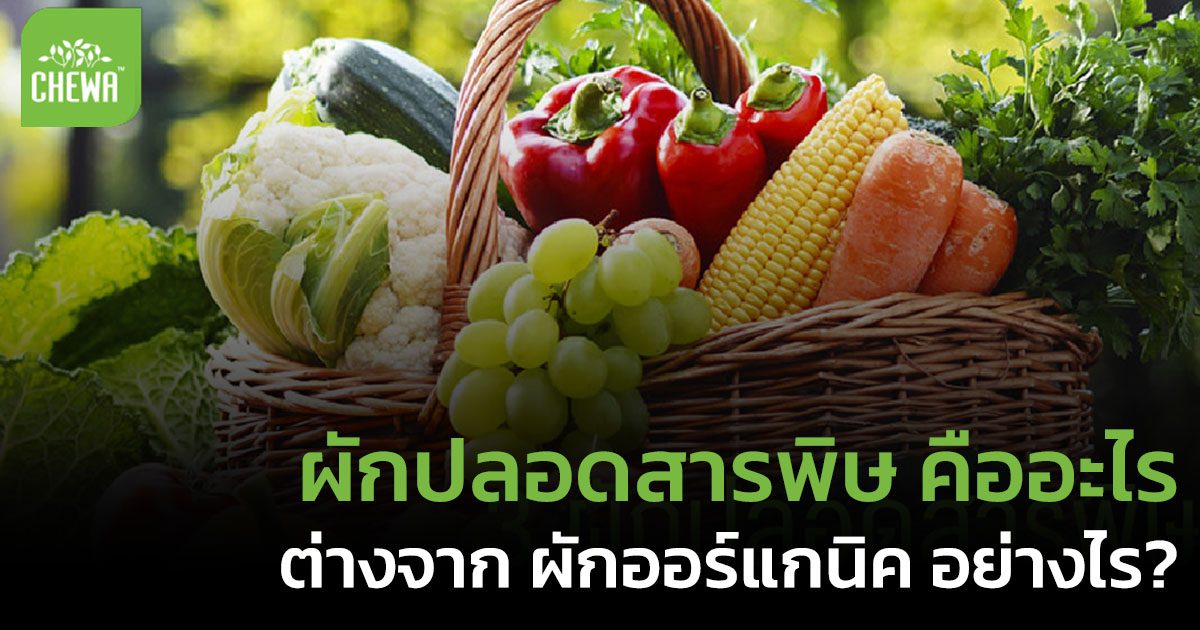 ผักปลอดสารพิษ คืออะไร ต่างจาก ผักออร์แกนิค อย่างไร