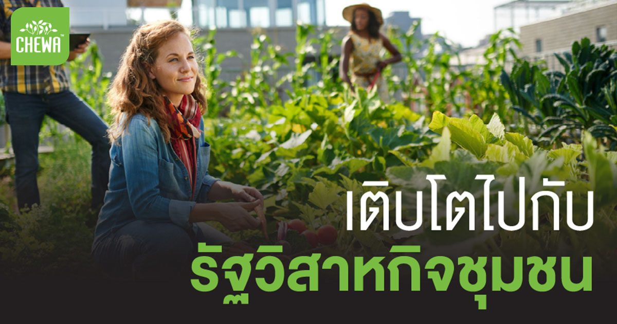 รัฐวิสาหกิจชุมชน